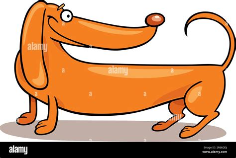 Cartoon Illustration Of Purebred Dachshund Dog Stock Vector Image And Art