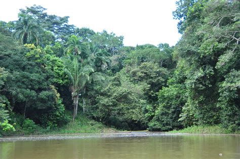 El Trastero De Tú Eras Muy Pop Panamá Selva