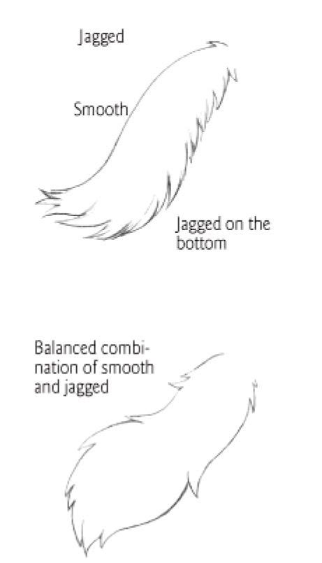 Tail Types 2 Cat Drawing Tutorial Drawing Tips Animal Sketches