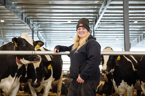 Miltrim Dairy Farm Lely Women Farmer Holstein Cows Exclusive