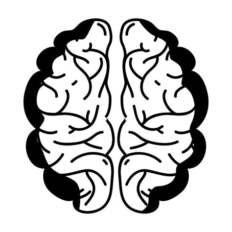 Contour Human Brain Anatomy To Creative And Intellect 655662 Vector Art