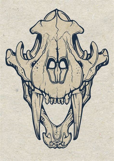Pin By Alik Nc On Probable Tattoo Animal Skull Drawing Tiger Skull