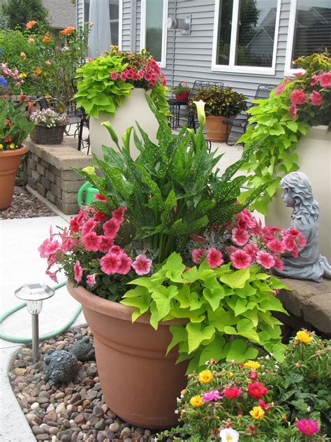 Container Gardening With Images Container Flowers Shade Plants