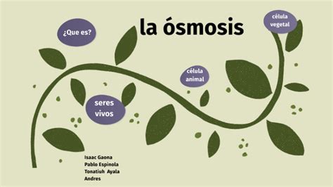 La Osmosis By Isaac Gaona