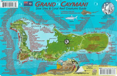 Grand Cayman Beaches Map