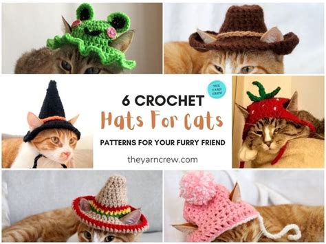 6 Crochet Hats For Cats Patterns For Your Furry Friend The Yarn Crew