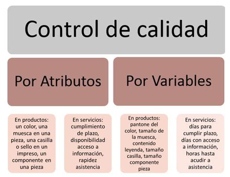 Estándares De Calidad Ejemplos