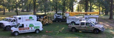 From tree removal to tree trimming, arborists near me can help you generate inbound tree service leads and direct phone calls that convert into business. Tree Service Memphis | Memphis Tree Service Company