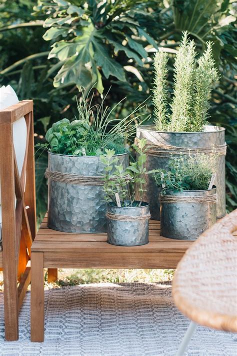 Diy And Done Outdoor Herb Garden For Your Patio Hunker