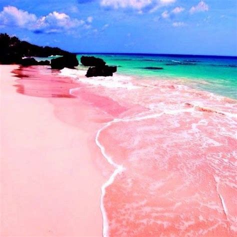How Amazing Is This Pink Sand Beach In Bermuda Places To Travel