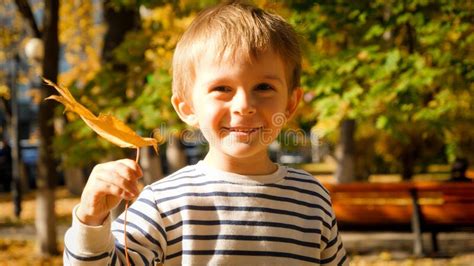 Portrait Of Smiling Little Boy Holding Autumn Tree Leaf And Looking In