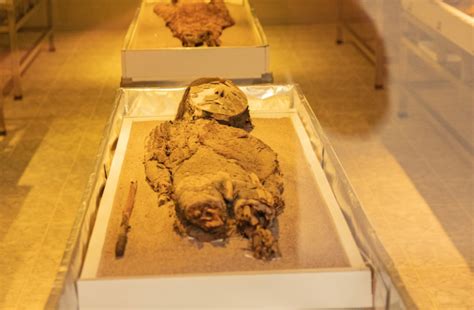 Why Are The Worlds Oldest Mummies Deteriorating And Who Made Them