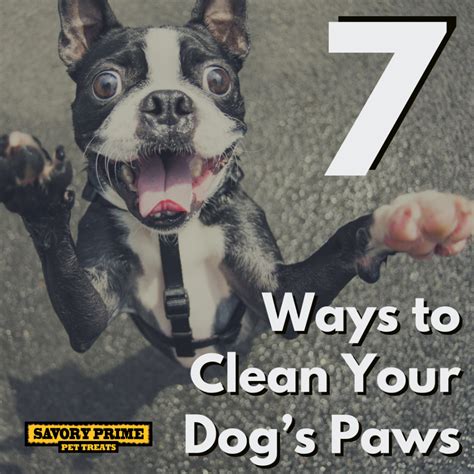 7 Ways To Clean Your Dogs Paws Savory Prime Pet Treats Wet Paws