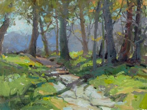 Woodland Paths By Dawn Whitelaw Whitelaw Art Pastel Art