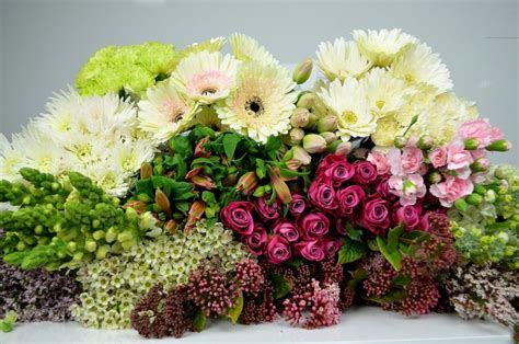 Wholesale flowers straight from the farms to your door. Before you buy wholesale flowers online!