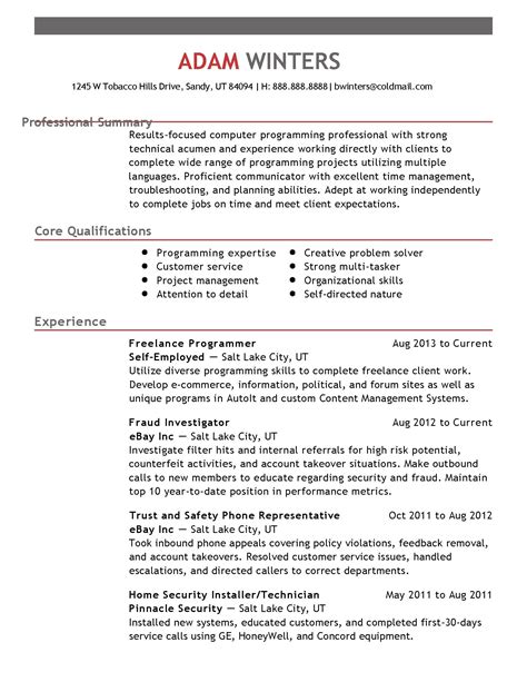 Professional Profile Resume Example To Apply