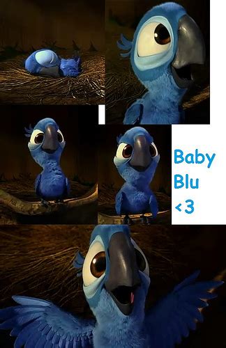 Baby Blue Screenshots P Rio The Movie Fan Art 26287163 Fanpop