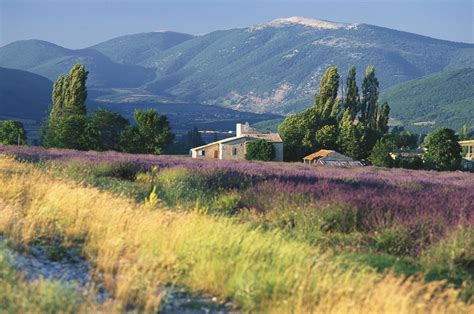 All The Reasons Provence Is The Most Amazing Part Of France France