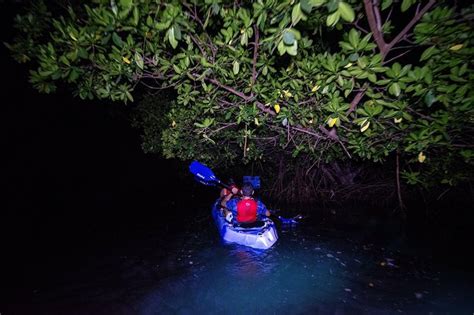 Bioluminescent Bay Kayak Adventure Tour From San Juan From US Cool Destinations