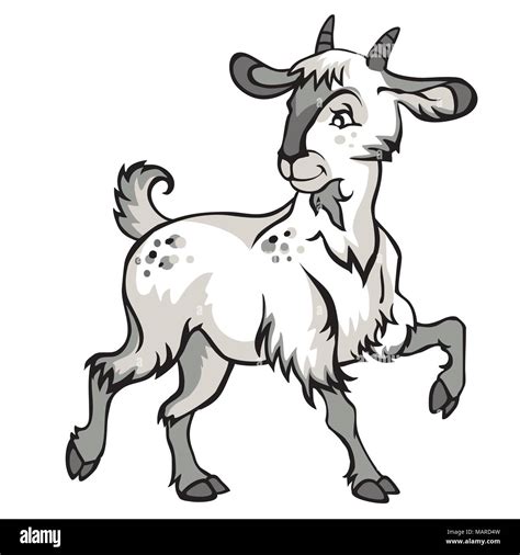 Funny Goat Cartoon Stock Photos And Funny Goat Cartoon Stock Images Alamy