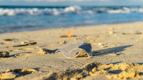 Dirty Beach Stock Photo Image Of Ocean Landscape Outdoors 69943478