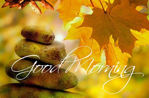 Guten Morgen, Herbst, Baum, Bäume, Gruß, Morgen, Tag | Good morning ...