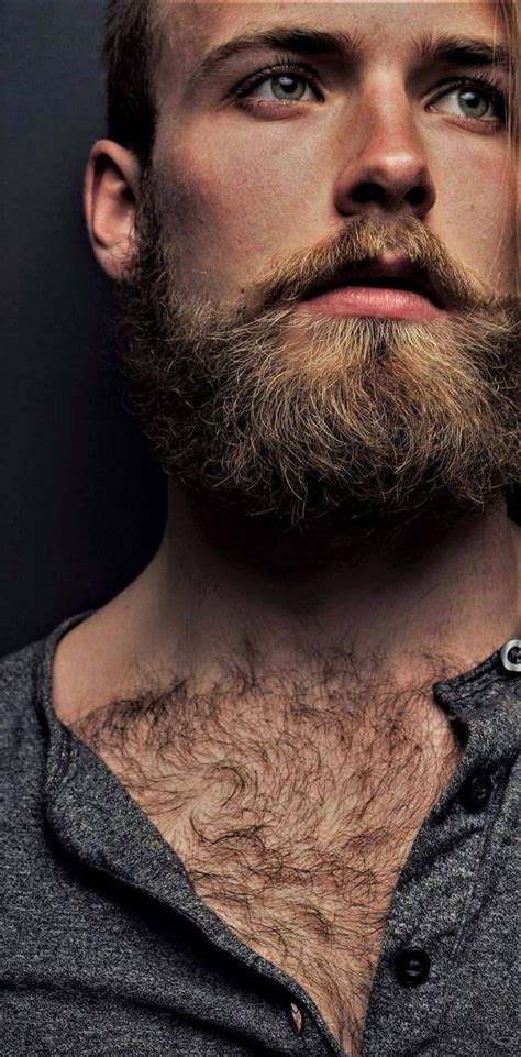 Stache Beard Wonderful Hairy Men Photo