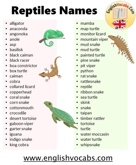 Reptiles Animals Names List From A to Z - English Vocabs