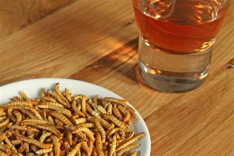 Tra i sogni più comuni legati ai vermi, ci sono quelli in cui i vermi escono dappertutto nella nostra. Sognare vermi: significato | DonnaD