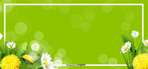Springvernal Equinoxlivelybloomingbouquetsun Flowerhappygreen