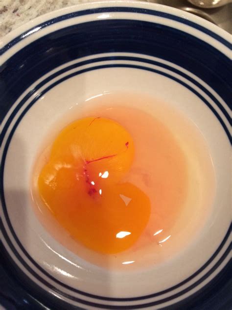 The laying of eggs is separate from the fertilization of eggs, and many hens in big layer barns never see a rooster in their lives yet still lay hundreds of unfertilized eggs a year. No Rooster but Fertilized Egg....