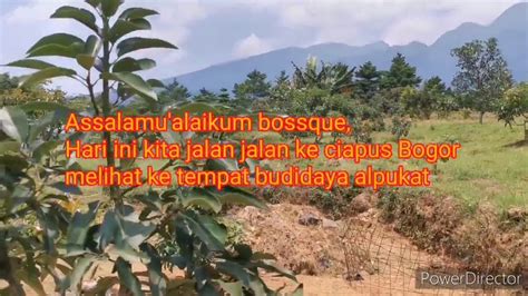 Giant jalan kebun 1.76 km. Jalan jalan ke kebun alpukat - YouTube