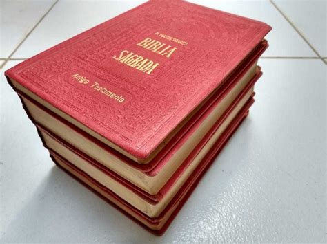 Biblia Pe Matos Soares