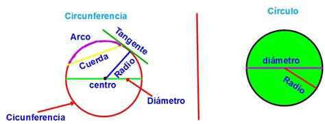 4º Primaria Matemáticas La Circunferencia Y El CÍrculo
