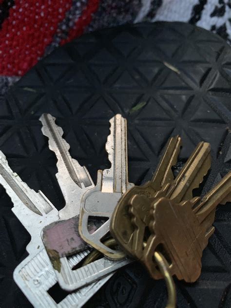 Lost Keys In Laurelhurst Park If You Are Missing These Shoot Me A