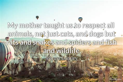 30 Inspirational Quotes About Saving Animals