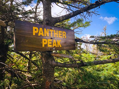 Panther Peak Via Santanoni Road Santanoni Range Adirondacks Difficult Hiking Trail