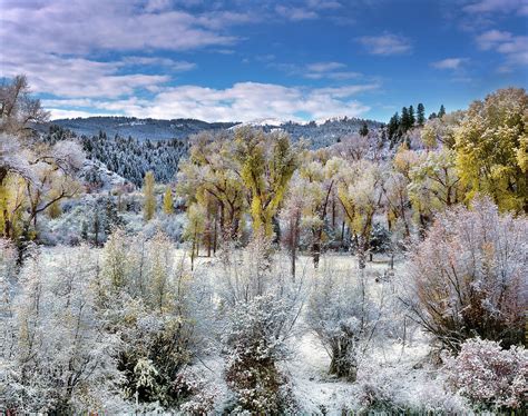 Autumn Frost And Texture Photograph By Leland D Howard