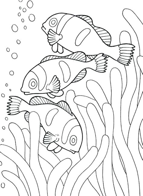 Push pack to pdf button and download pdf clown fish coloring pages coloring pages free clown fish coloring. Clownfish Drawing at GetDrawings | Free download