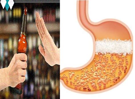 The stomach where alcohol goes to be absorbed into the bloodstream; THIS IS WHAT HAPPENS WHEN YOU DRINK ALCOHOL ON AN EMPTY ...