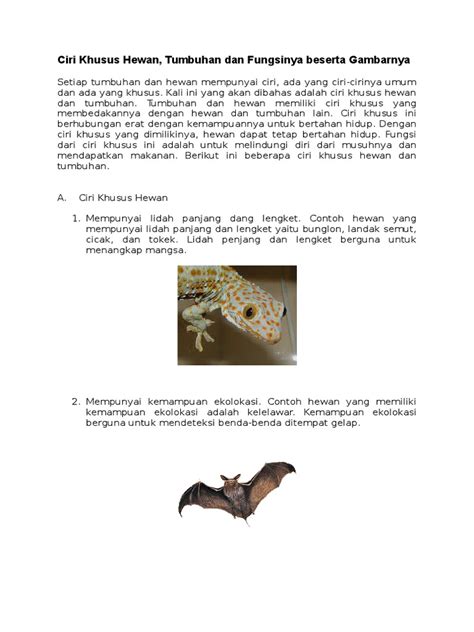 Ciri Khusus Hewan Dan Tumbuhan Beserta Fungsinya - Batik Indonesia