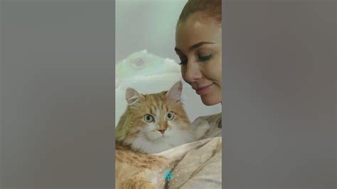 10 Simple Tips to Improve Your Pet Skills - Essential Guide for a Happy