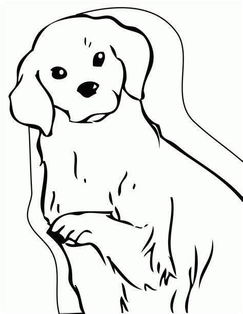 Get Golden Retriever Puppy Coloring Pages Printable Png Coloring