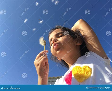A Little Girl Blowing Dandelion Seeds Stock Image Image Of Activity