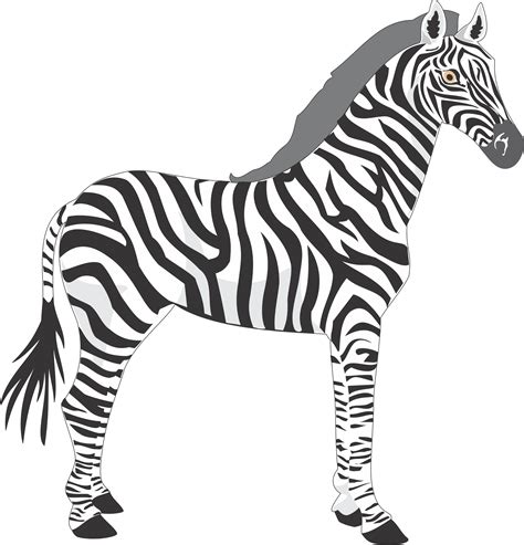The Best Free Zebras Drawing Images Download From 98 Free Drawings Of