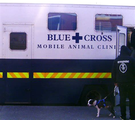 4111 n 36th st, phoenix, az 85018. Blue Cross mobile tends Liberties' animals | The Liberty