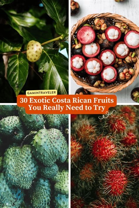 Fruits In Costa Rica Exotic Costa Rican Fruits To Try
