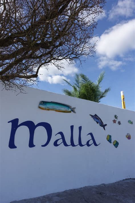 We would like to show you a description here but the site won't allow us. Villa Malla, - et spisested uten sidestykke - Trude Henrichsen