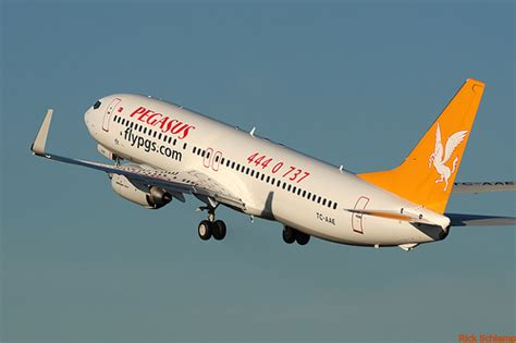 Pegasus havayolları, egentlig pegasus hava tasimaciligi as) er et flyselskap med hovedkontor i istanbul i tyrkia.flyselskapet utfører charterreiser til tyrkia fra nordre og vestre europa, og leaser flyene fra andre flyselskaper. Compania aeriană Pegasus Ailines începe operarea din ...