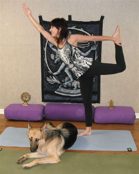 Whatever your needs or level of experience, we've got it covered. Doga classes starting in Randolph, NJ, 11/14. Hurry to ...